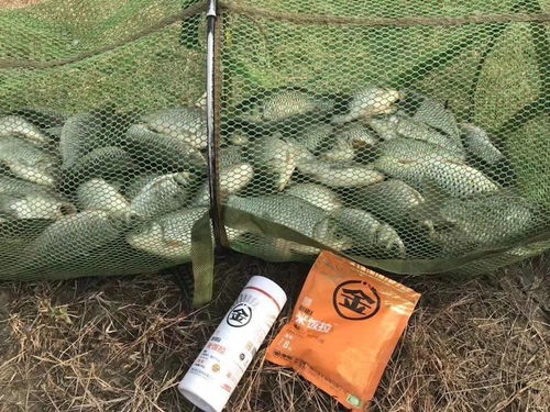小野战钓鱼饵料怎么样？实战测评与使用心得