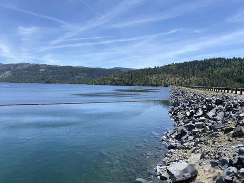 Mastering Lake and Reservoir Fishing:Tips and Techniques for Effective Bait Usage