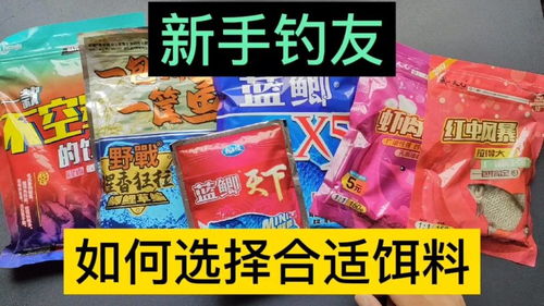 追鱼姑娘钓鱼饵料怎么样？揭秘这款饵料的实战表现与用户口碑
