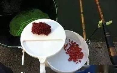 中药饵料，钓鱼高手的秘密武器