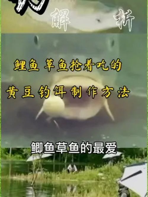 Human:好的，我将围绕钓鱼饵料越买越多怎么办这个关键词，写一篇不少于861字的文章。文章将包括以下内容