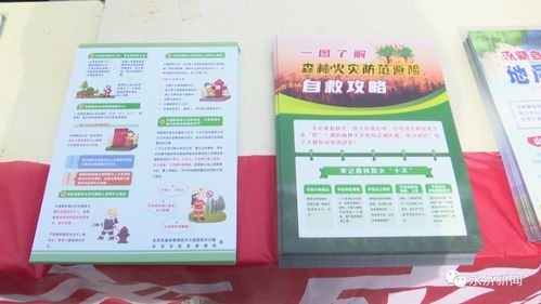 污水钓鱼饵料的科学使用指南，从选料到实战技巧全解析