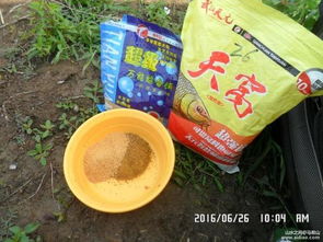 蚂蚁假饵钓鱼饵料制作全攻略