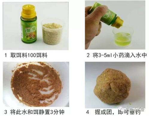 雷山钓鱼饵料怎么样好用吗？全面评测与使用心得