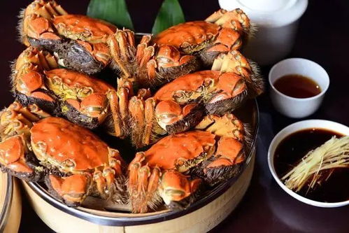 钓鱼饵料青蟹，可食用吗？如何烹饪？