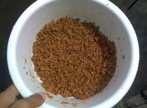 钓鱼饵料和散炮怎么煮的？手把手教你制作秘方饵料