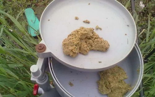 钓鱼饵料新选择，用鸡蛋自制高效诱饵全攻略