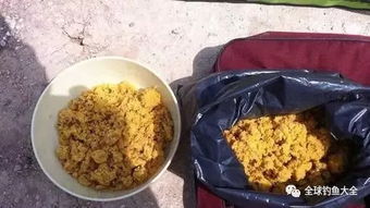 老范教你钓鱼饵料怎么用？这些技巧太实用了！