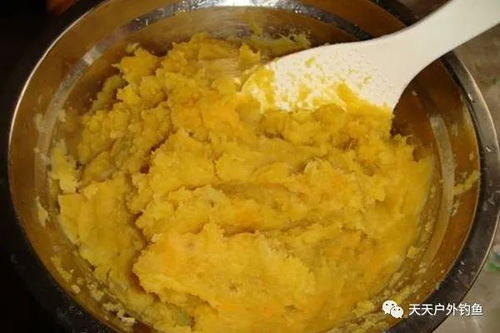 钓鱼饵料蜜薯怎么做的？这份秘方让你鱼获满满！