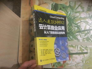 漠阳江钓鱼饵料使用全攻略，从入门到精通的实用指南