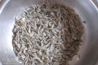 钓鱼饵料小药粘粉使用全攻略