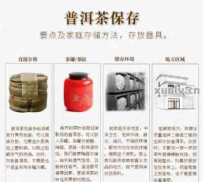 小潭钓鱼饵料怎么用，从选择到使用的完整指南