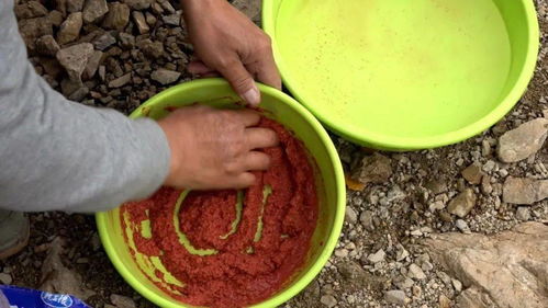 啤酒钓鱼饵料怎么样用的？