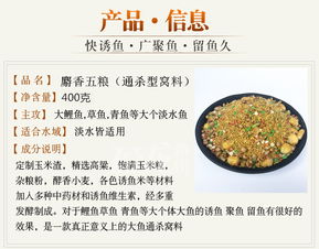 假龙饵料使用指南，掌握这些技巧让你的假饵发挥最大效果