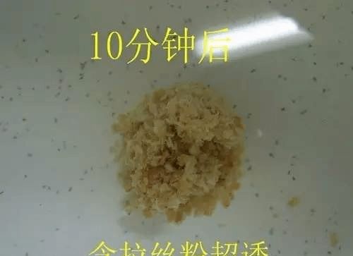 饵料易拉丝怎么办？专业钓手的终极解决方案来了！