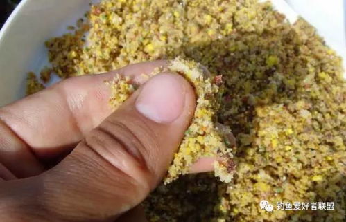 神仙草钓鱼饵料怎么用效果好