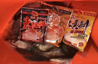 金子钓鱼饵料怎么样好用吗？揭秘实战效果与使用技巧