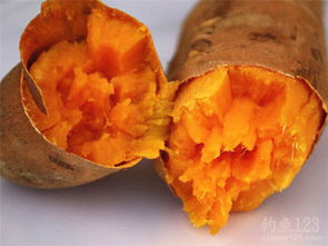 番薯粉做钓鱼饵料怎么样？效果竟然这么好！
