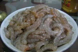 虾滑，钓鱼饵料的绝佳选择与制作全攻略