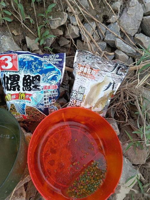 黄河钓鱼饵料怎么开饵的？掌握这些技巧，鱼儿见了都疯狂！
