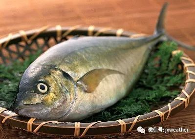 钓饵无声？揭秘鱼儿不吃饵的五大真相与应对策略