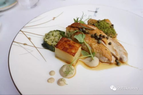 Mastering the Art of Chicken Cooking and Fishing Techniques