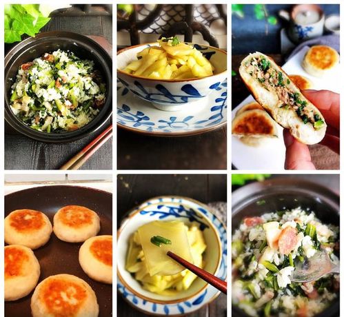 剩菜当钓鱼饵料，省钱又环保的钓鱼妙招