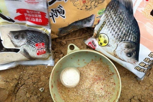 免手拌钓鱼饵料怎么样？深度评测与使用体验