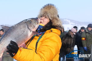 Effective Winter Fishing Techniques:How to Attract Fish with Baits