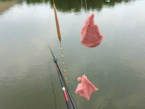 钓鱼饵料重了会怎么样？这4点影响你可能不知道！