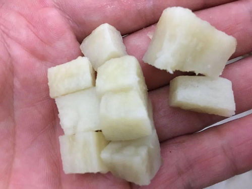 生红薯钓鱼饵料怎么做的？这份详细教程让你轻松上鱼！