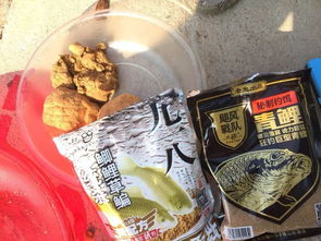 烧腊粉，钓鱼饵料的隐藏高手，你用对了吗？