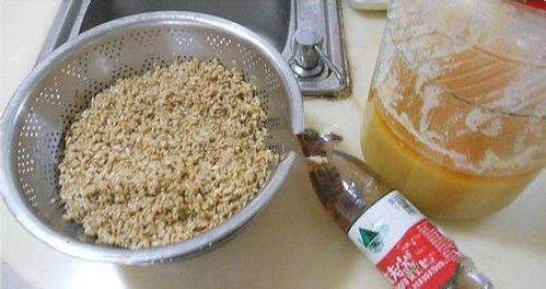 花生钓鱼饵料的制作方法，一步步指南