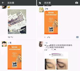 景凤钓鱼饵料怎么样，全面评测与用户反馈