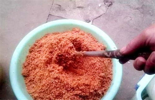 神鲤钓鱼饵料的使用方法详解