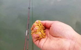 铅坠饵钓鱼饵料制作全攻略，从零开始打造你的专属诱饵