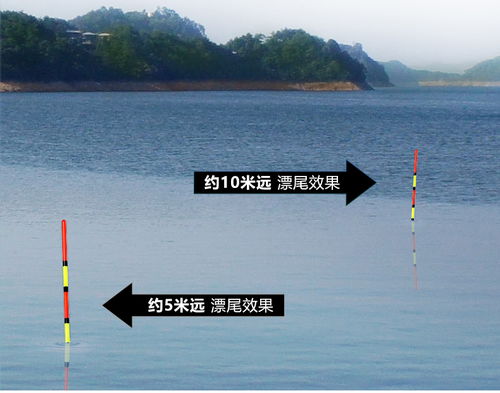 长水钓鱼，选择钓位和饵料的完整指南
