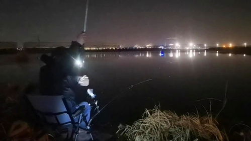夜钓利器，夜光漂与饵料搭配全攻略