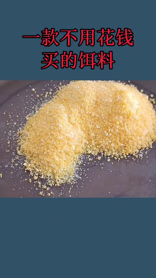 钓鱼饵料泡水了怎么办呢？这些应急处理方法让你不浪费！