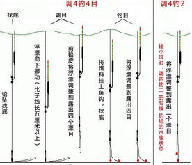 自作钓鱼饵料配比表格怎么做？科学配方助你提高钓获率