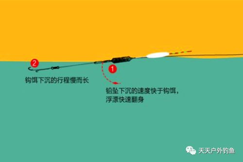 逗钓钓鱼饵料怎么搭配？这份详细指南让你轻松掌握
