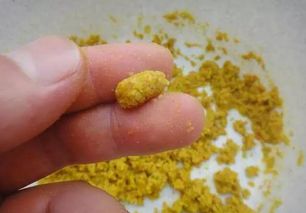 海澡粉钓鱼饵料怎么用？这份详细指南让你轻松掌握！