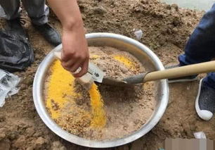 钓鱼饵料打窝颗粒料怎么用，从入门到精通的完整指南