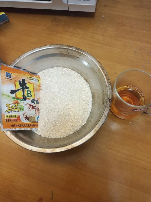 如何写一篇关于钓鱼饵料的说说，我的经验分享
