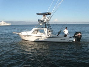 Expert Tips on Fishing Techniques:How to Answer Your Wifes Questions