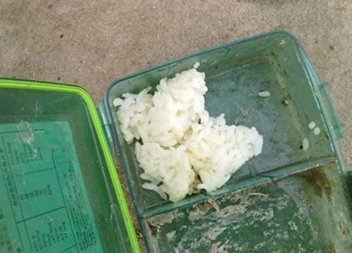 钓鱼饵料洗不掉怎么办？这些解决方法太实用了！