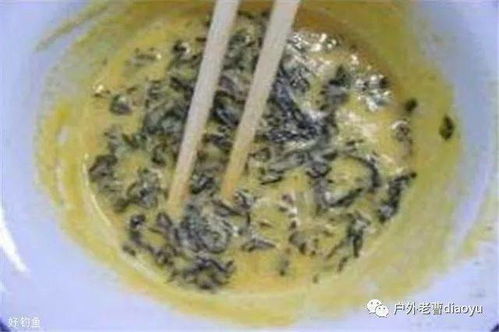 钓鱼饵料制作秘籍，如何做出吸引鱼的完美饵料