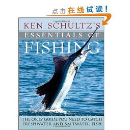 Ultimate Guide to Beach Fishing:Techniques and Tips for Beginners