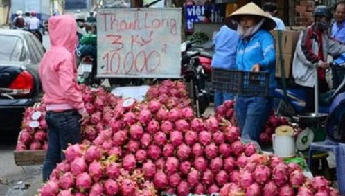 双节同庆 进口水果热销中国中部市场