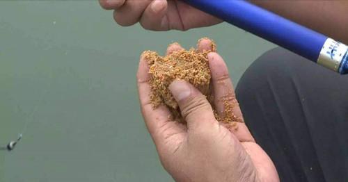 黑坑钓鱼饵料怎么弄，从选料到调制的完整指南